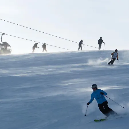 Alm Ehemals Birkenhof Lejlighedshotel Willingen (Upland)