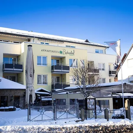 Alm Ehemals Birkenhof 4* Willingen (Upland)