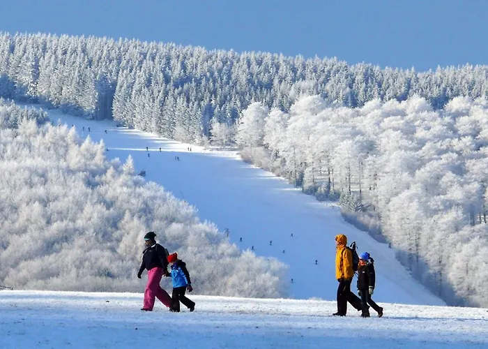 Birkenhof 4* Willingen (Upland)