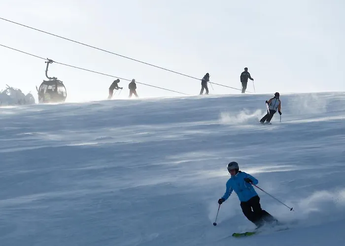 Birkenhof Aparthotel Willingen (Upland)