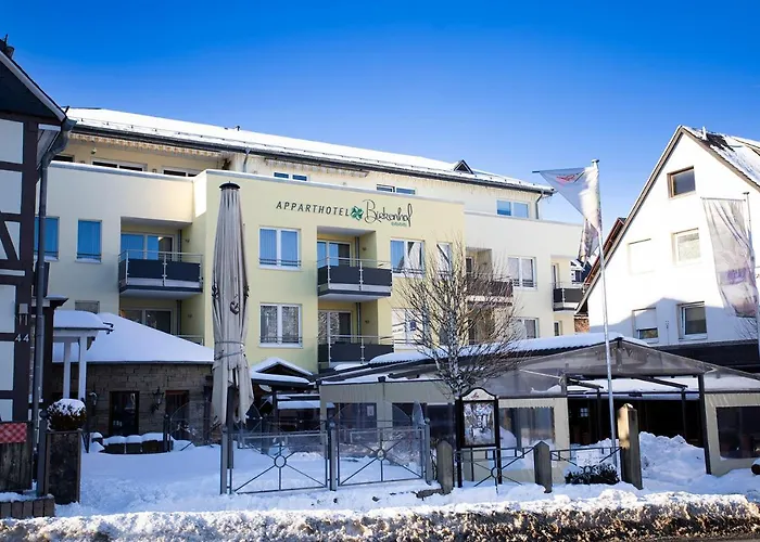 Birkenhof 4* Willingen (Upland)