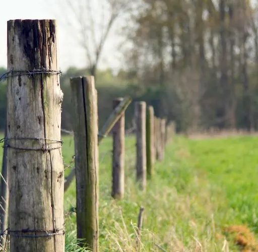 Alm Ehemals Birkenhof Willingen (Upland)